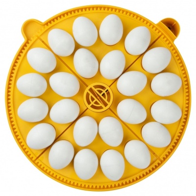 Brinsea Maxi Incubator Medium Egg Quadrants - 4 Pack (24 hen eggs)